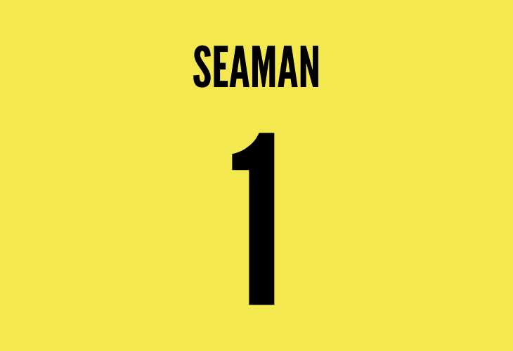 David Seaman: Safe Hands